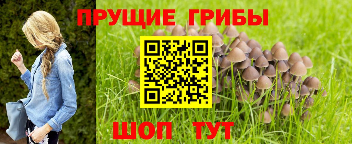 Галлюциногенные грибы MAGIC MUSHROOMS Алексеевка