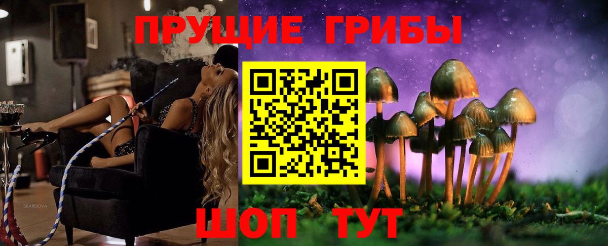 Галлюциногенные грибы прущие грибы  дарнет шоп  Псилоцибиновые грибы Cubensis  Алексеевка  Вход с VPN 